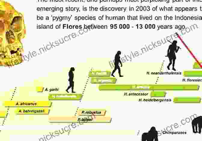 A Captivating Visual Timeline Of Human Evolution, Showcasing The Transition From Early Hominids To Modern Humans. The Planet In A Pebble: A Journey Into Earth S Deep History (Oxford Landmark Science)