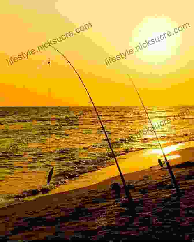 A Group Of Anglers Stand On The Beach At Sunset, Their Rods In Hand, The Ocean Stretching Out Before Them HOOKED Fishing Stories From The Surf