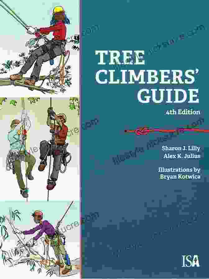 Climbing Guide: Climbing Guide 4th Edition Olympic Mountains: A Climbing Guide (Climbing Guide) 4th Edition