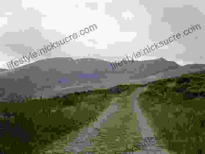 Mount Brandon, Ireland, On The Dingle Way Dingle Way Sandra Bardwell