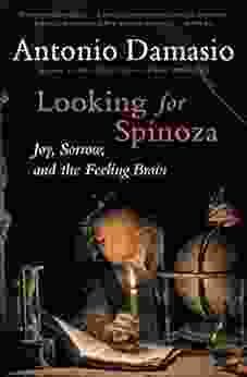 Looking For Spinoza: Joy Sorrow And The Feeling Brain