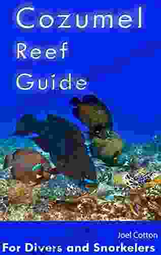 Cozumel Reef Guide: For Divers And Snorkelers