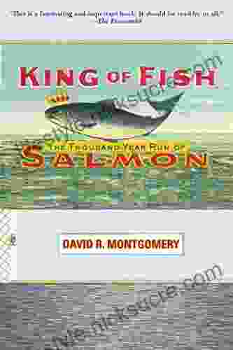 King Of Fish: The Thousand Year Run Of Salmon